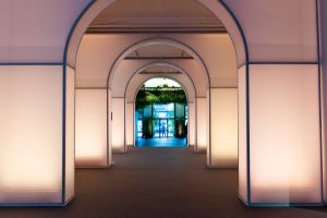 Elindultak a HFDA és a CNMI mentorprogramjának online workshopjai