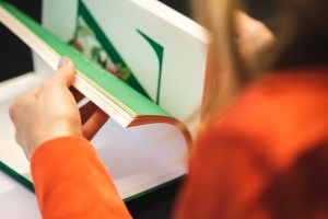 Fenntarthatósági tanulmányt és javaslatcsomagot dolgozott ki az MDDÜ