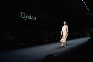 The Elysian Brand: On the Road to International Fame from the International Mentoring Programme