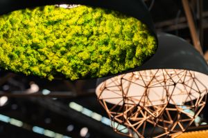 Újabb magyar formatervezők bizonyíthatnak a Maison&Objet szakvásáron